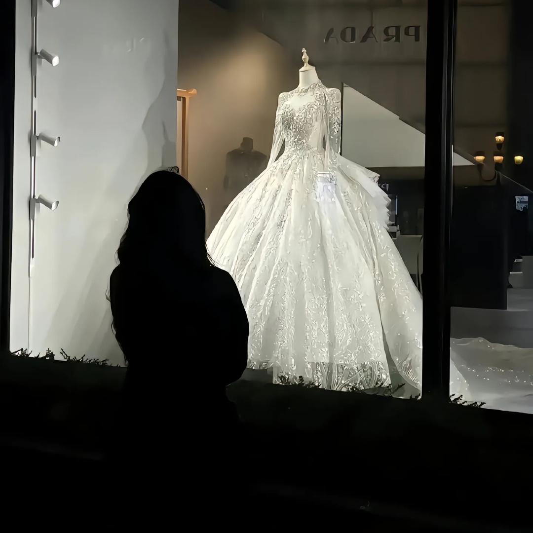 想要树上有只熊