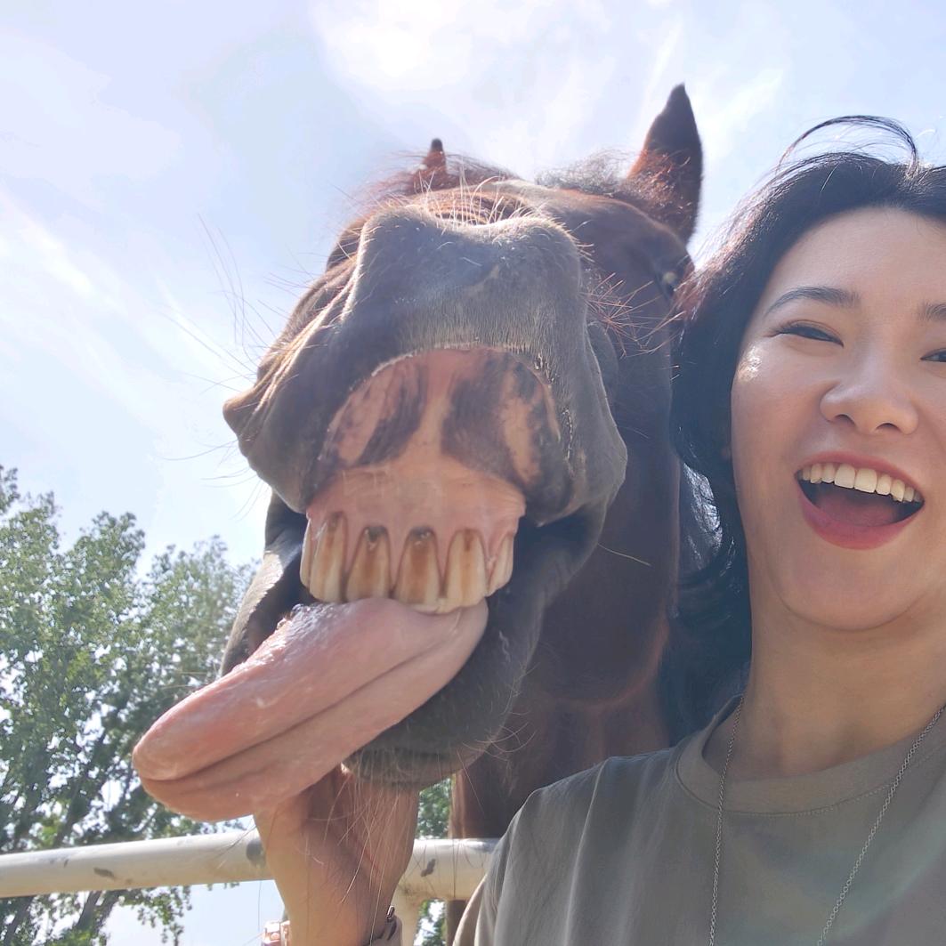 小机灵鬼踹踹🎈