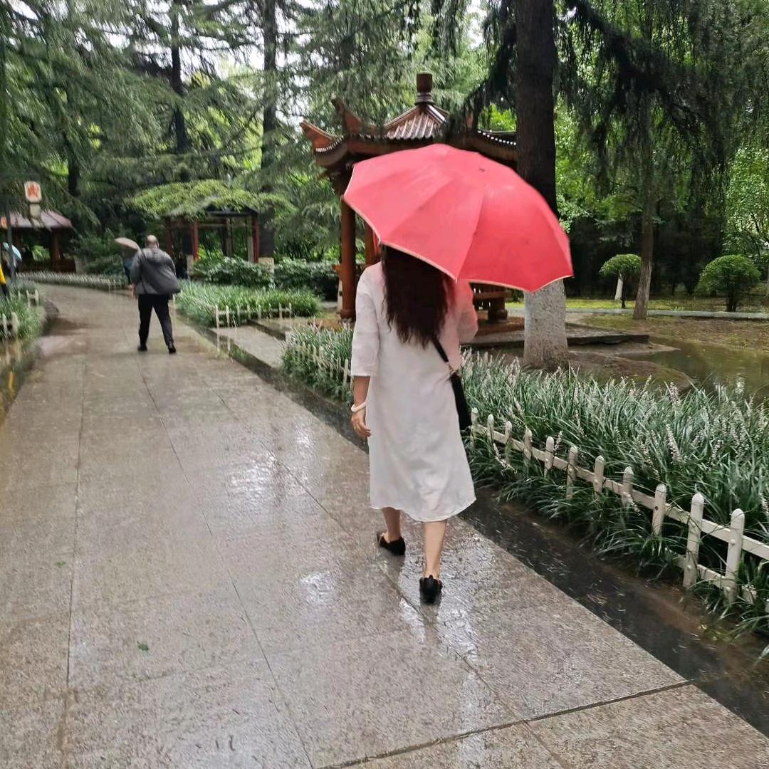 阳光总在风雨后