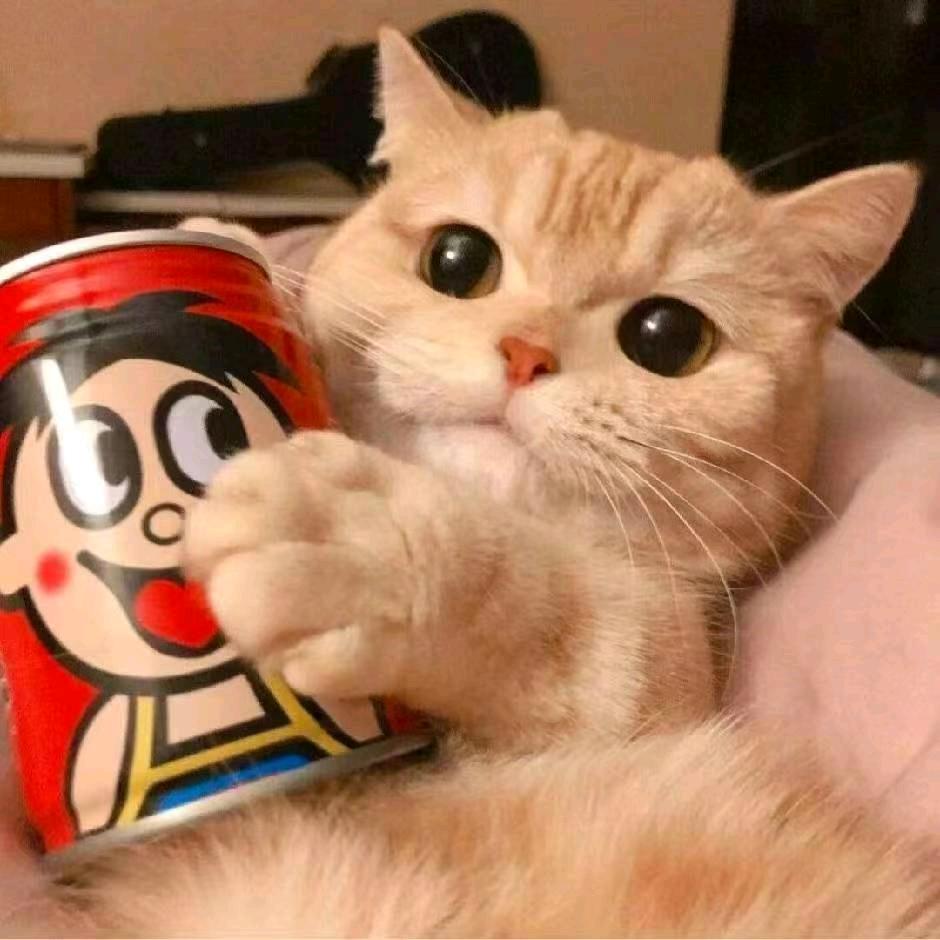 长风o>_<o浅喜