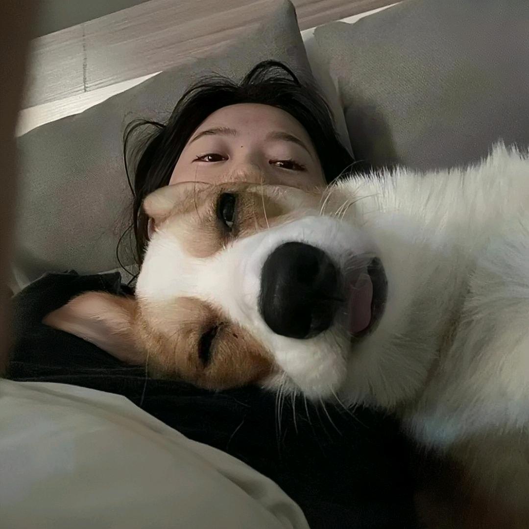 梦是甜的