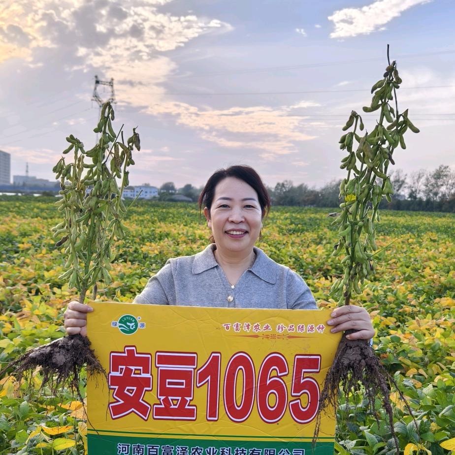 正阳县李政农资