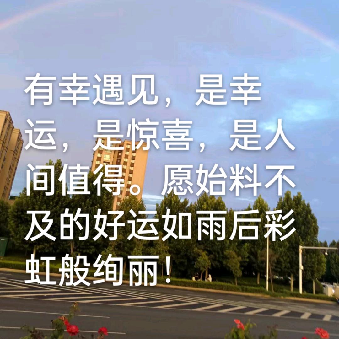 杏花微雨