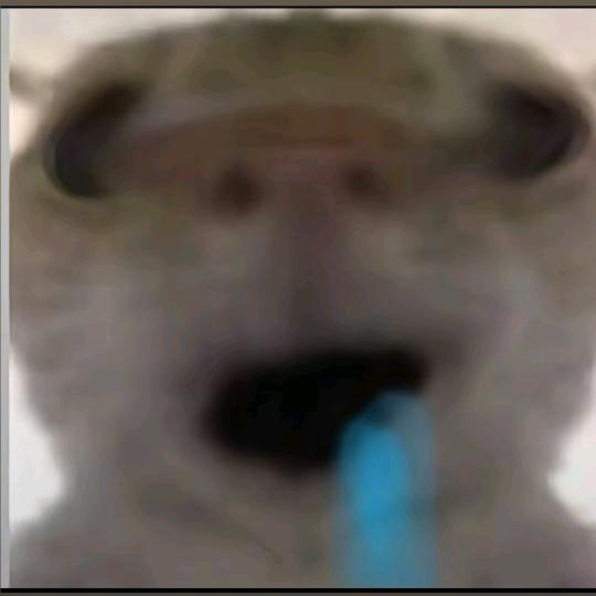 鼠鼠暗区三角洲