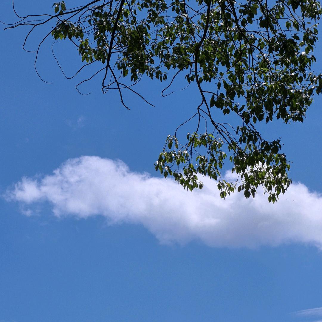 漫步云端