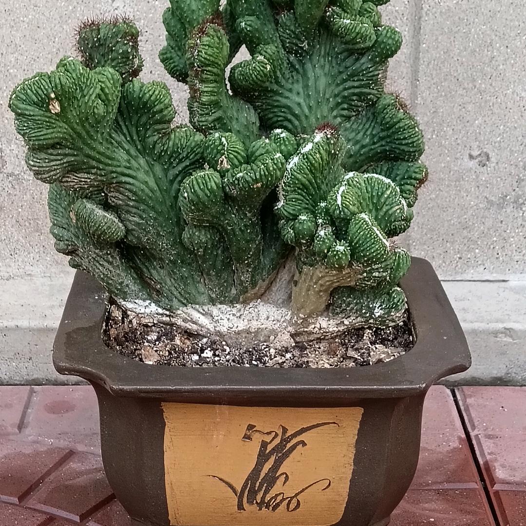 朋友永久666
