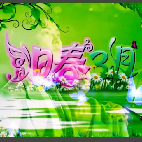 ✨阳春💫三月✨