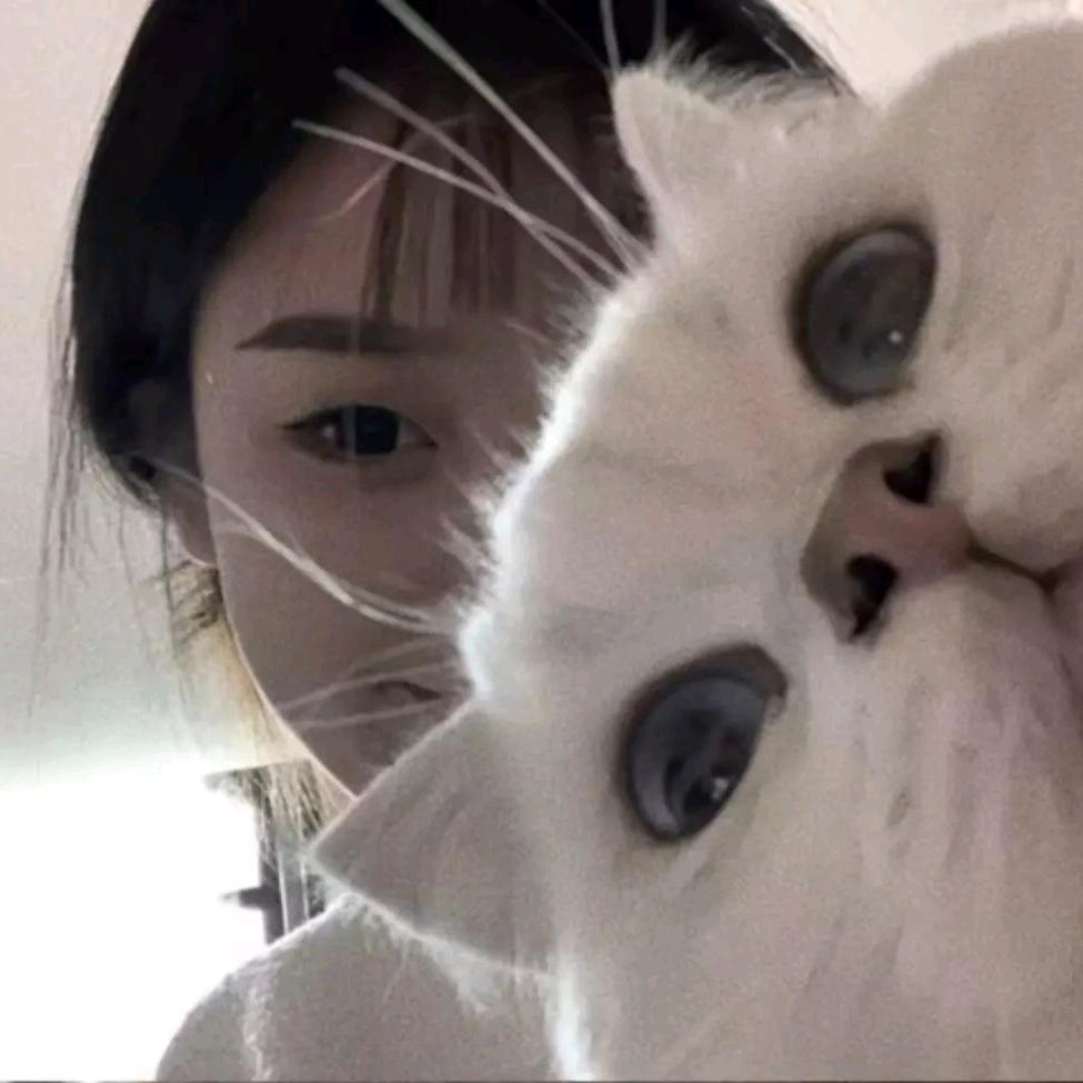 菲菲