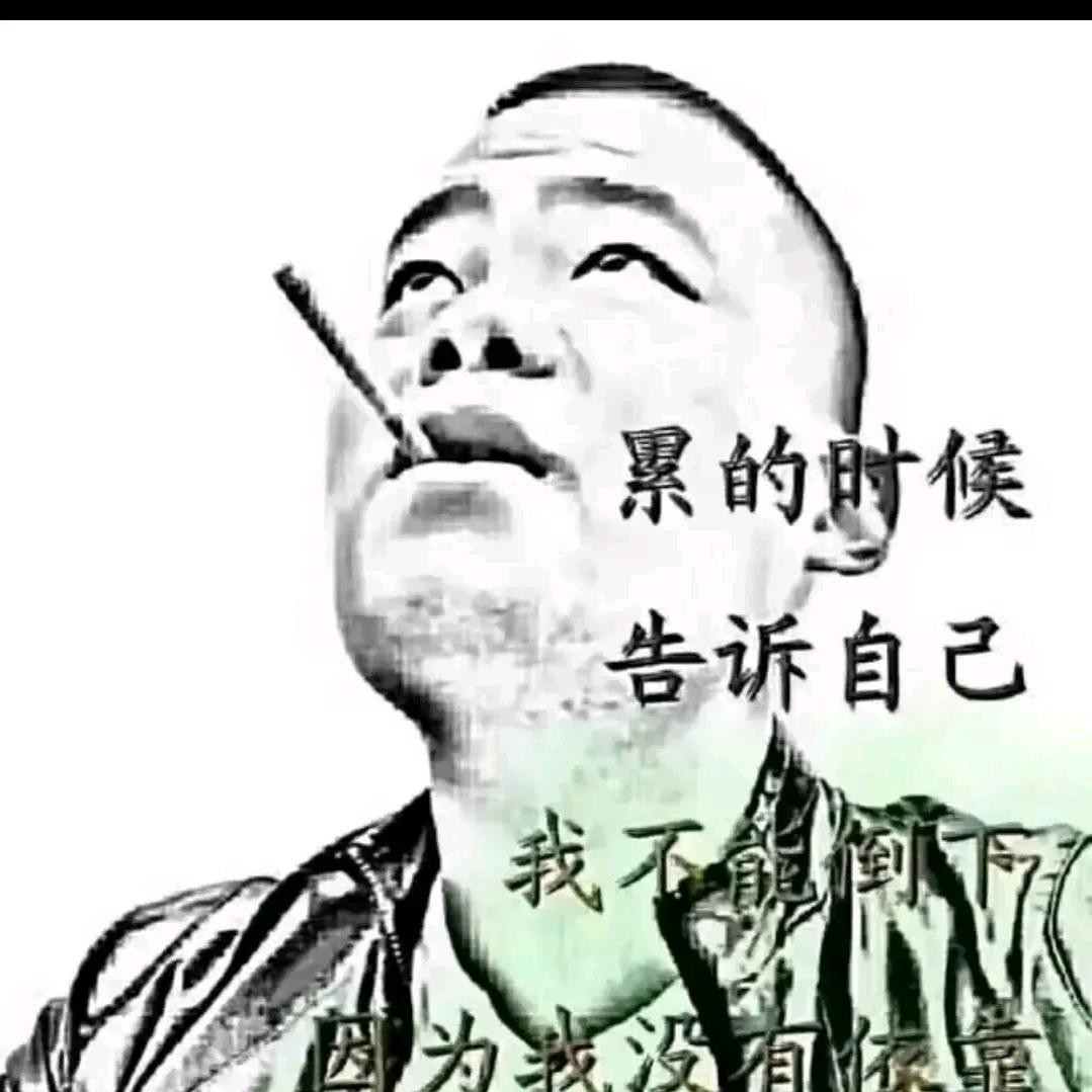 赵歌