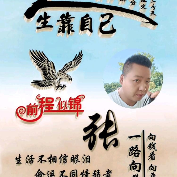 拽拽的张少