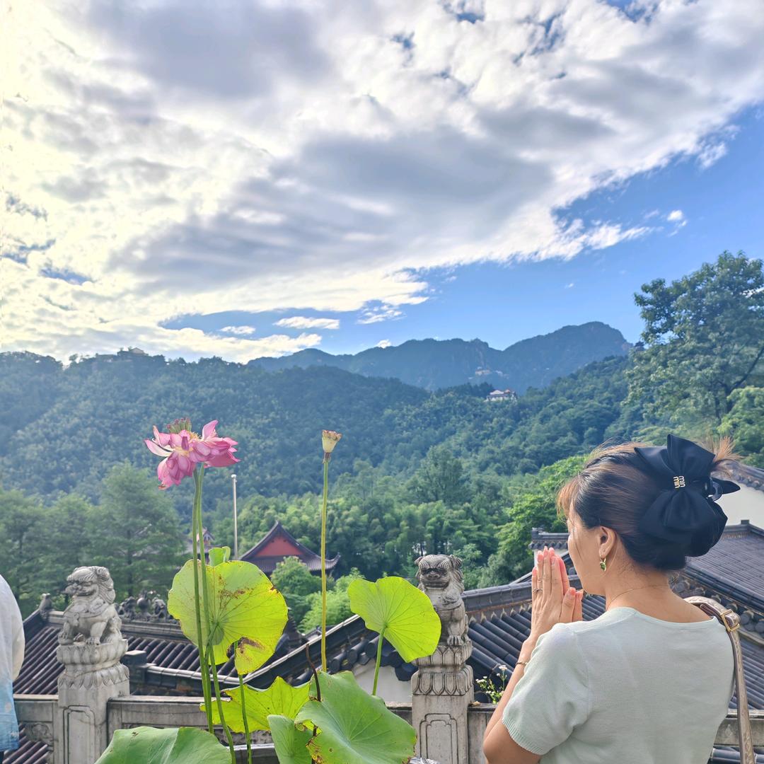 一帘幽梦画仙池