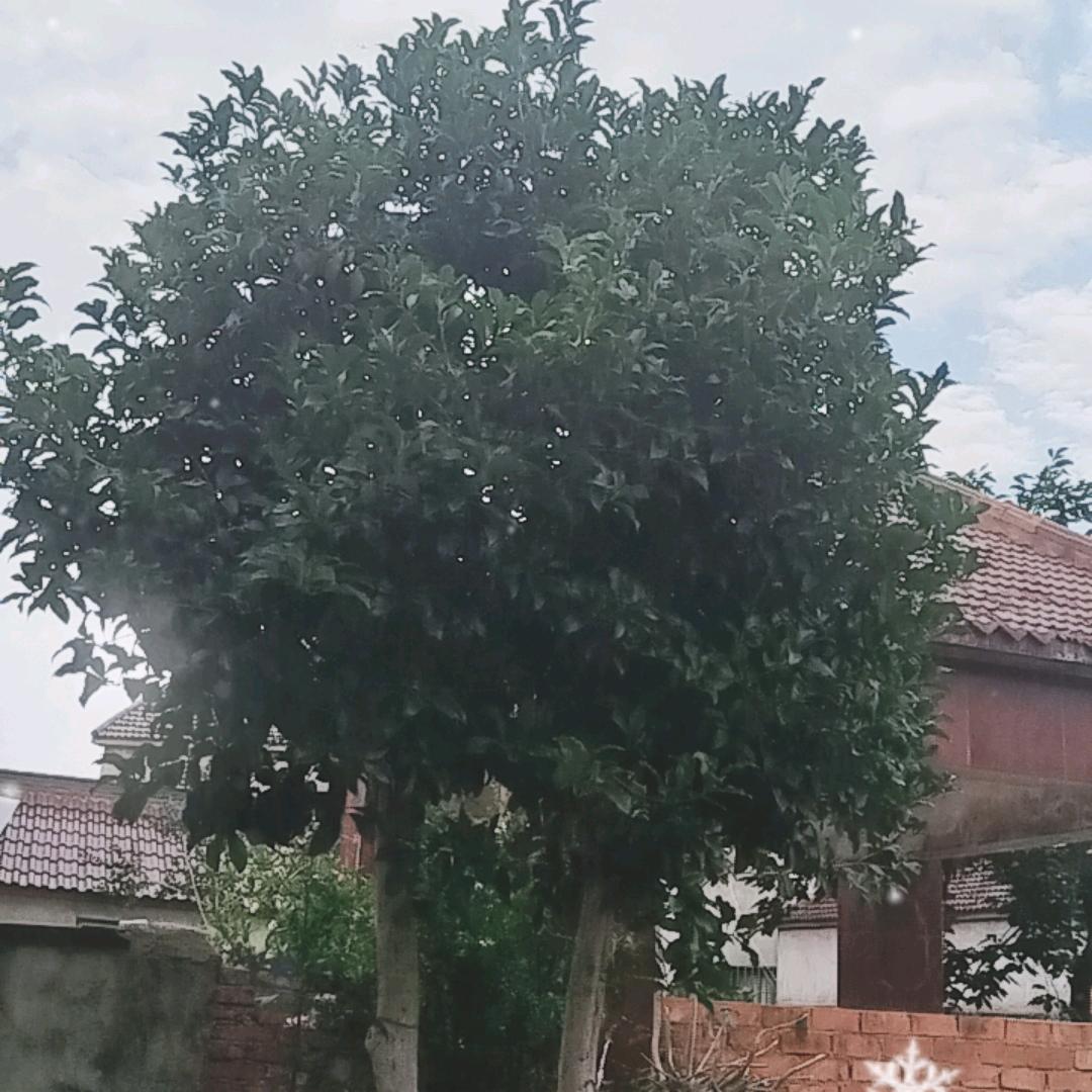 随便玩玩⛏️⛏️