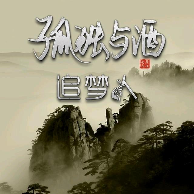 一网情深