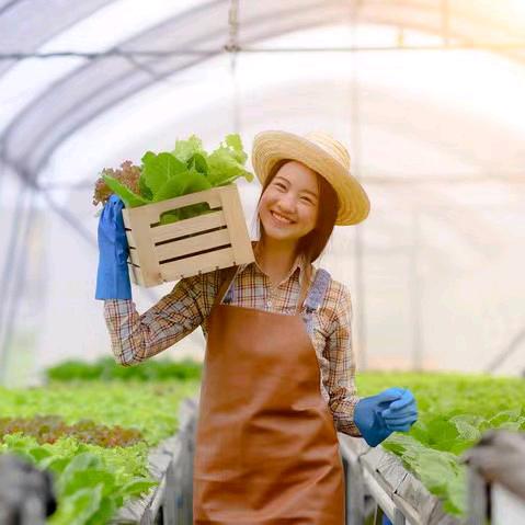 农业植保 珍珍（商品在橱窗）