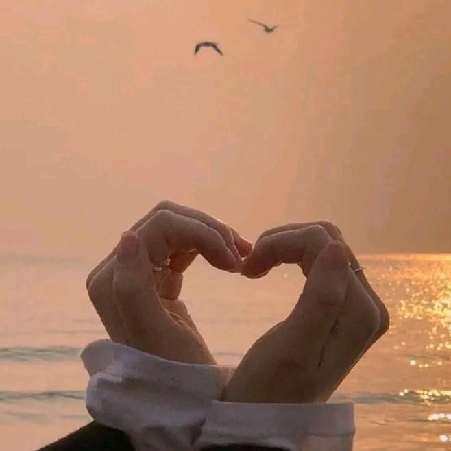 是二十呀🧚‍♀️