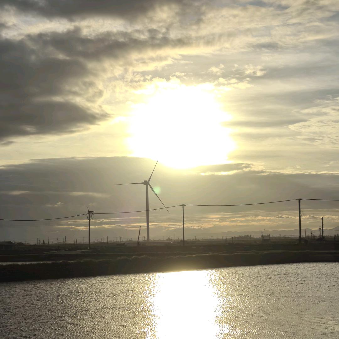 乍见之欢不如久处不厌🌺