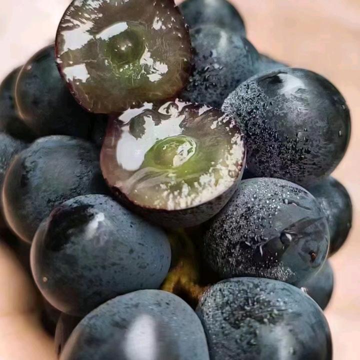帥狐的茶