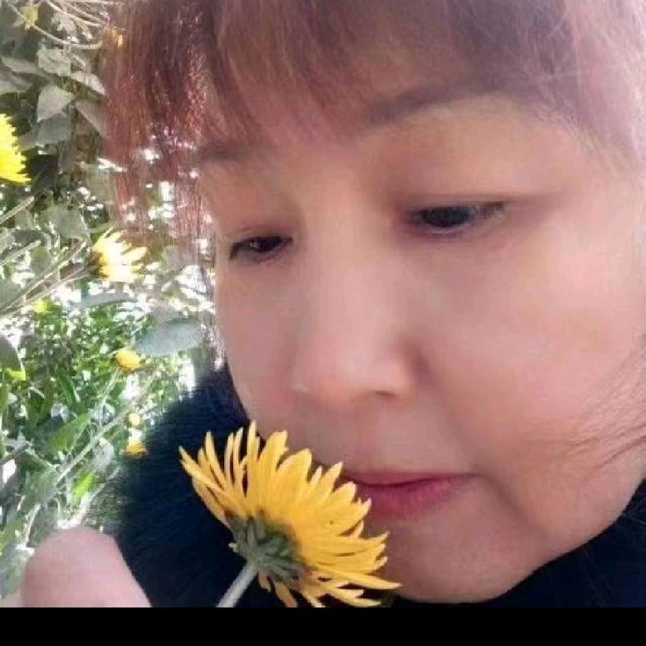 岁月成长