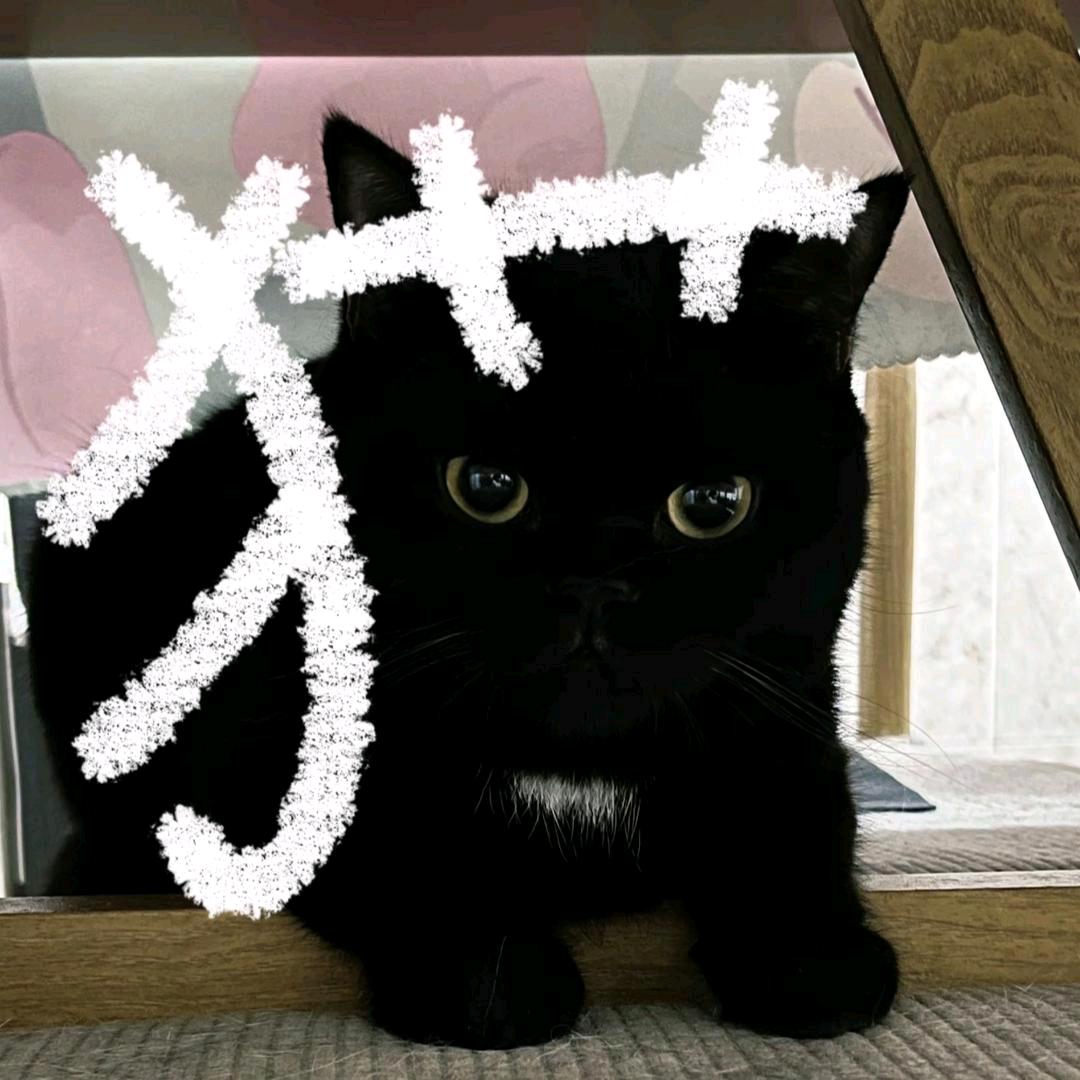 不可以哈哈哈哈哈