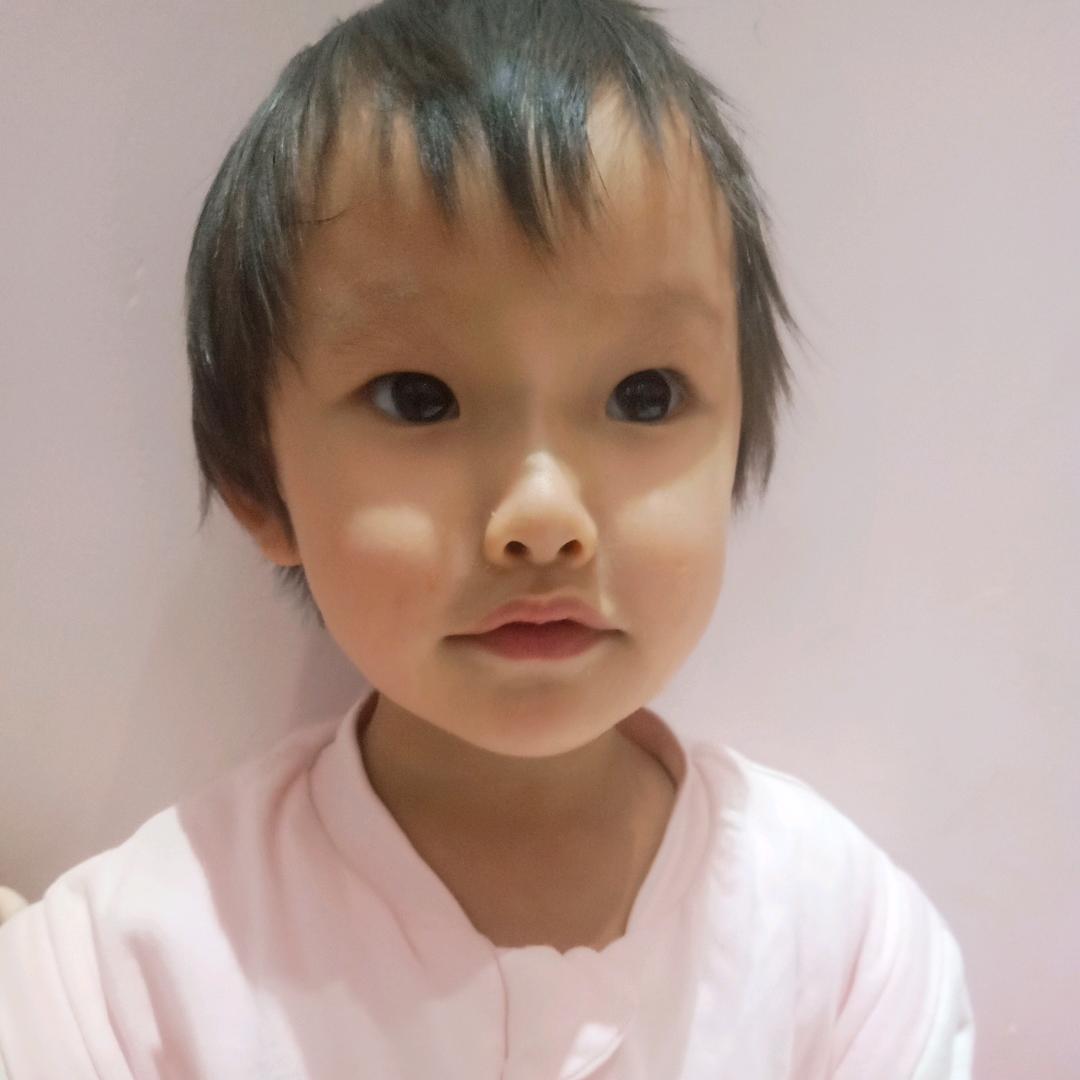 绿荫树下