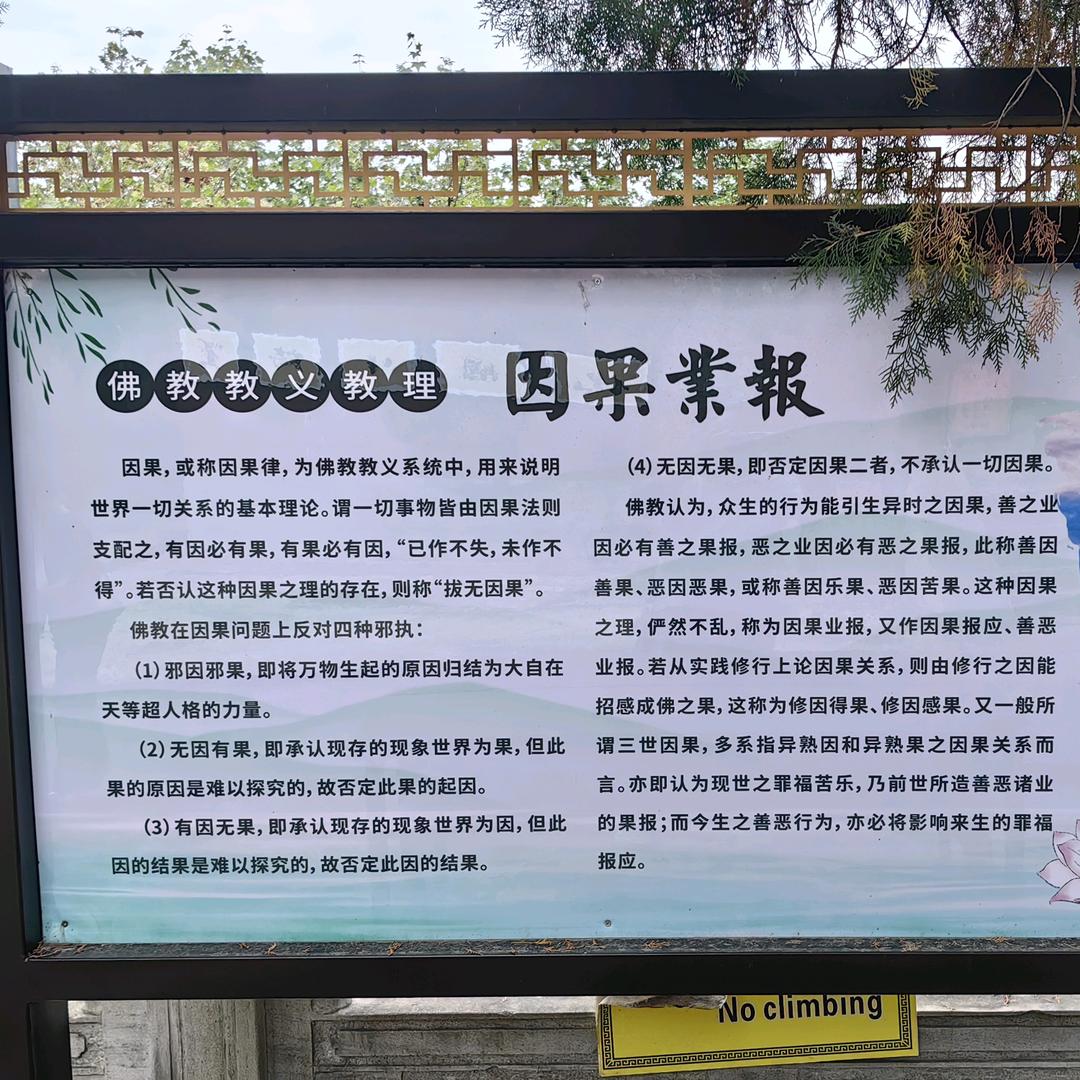 努力明天会更好