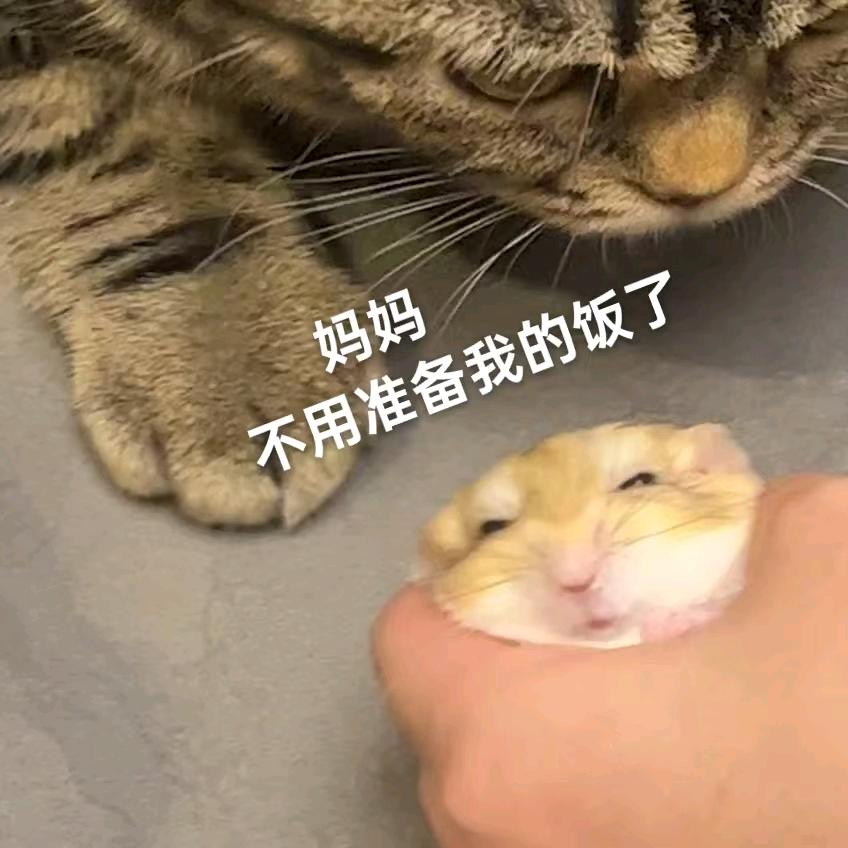 我补药上课啊