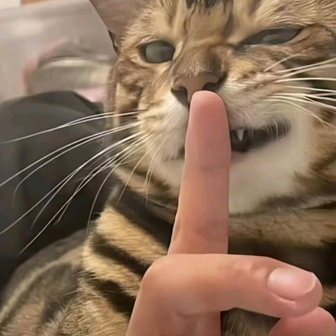 一拳干飞啊qiu🤣