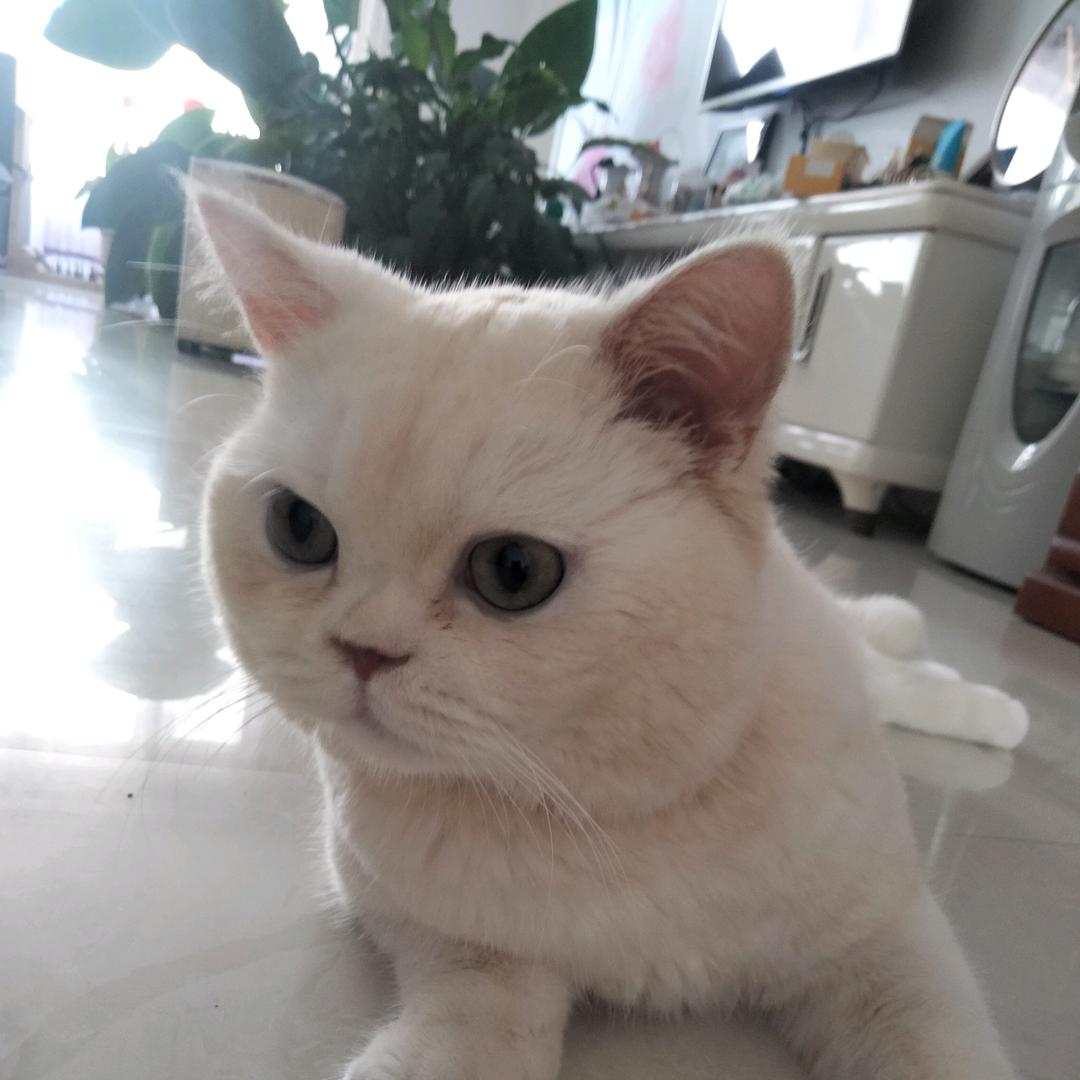 方瑜驾到