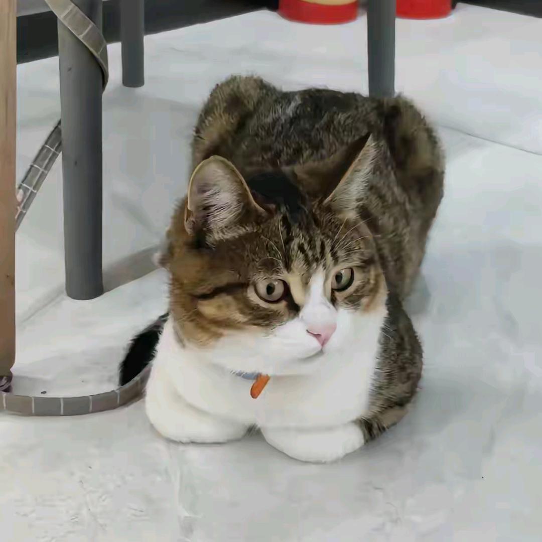 中庸