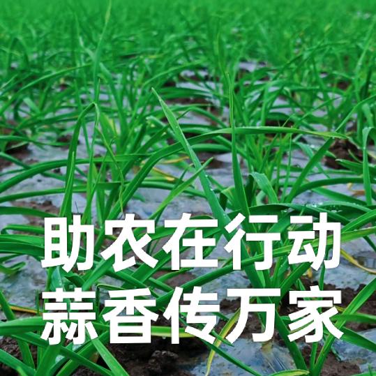 仁丰农业科技（小圆）