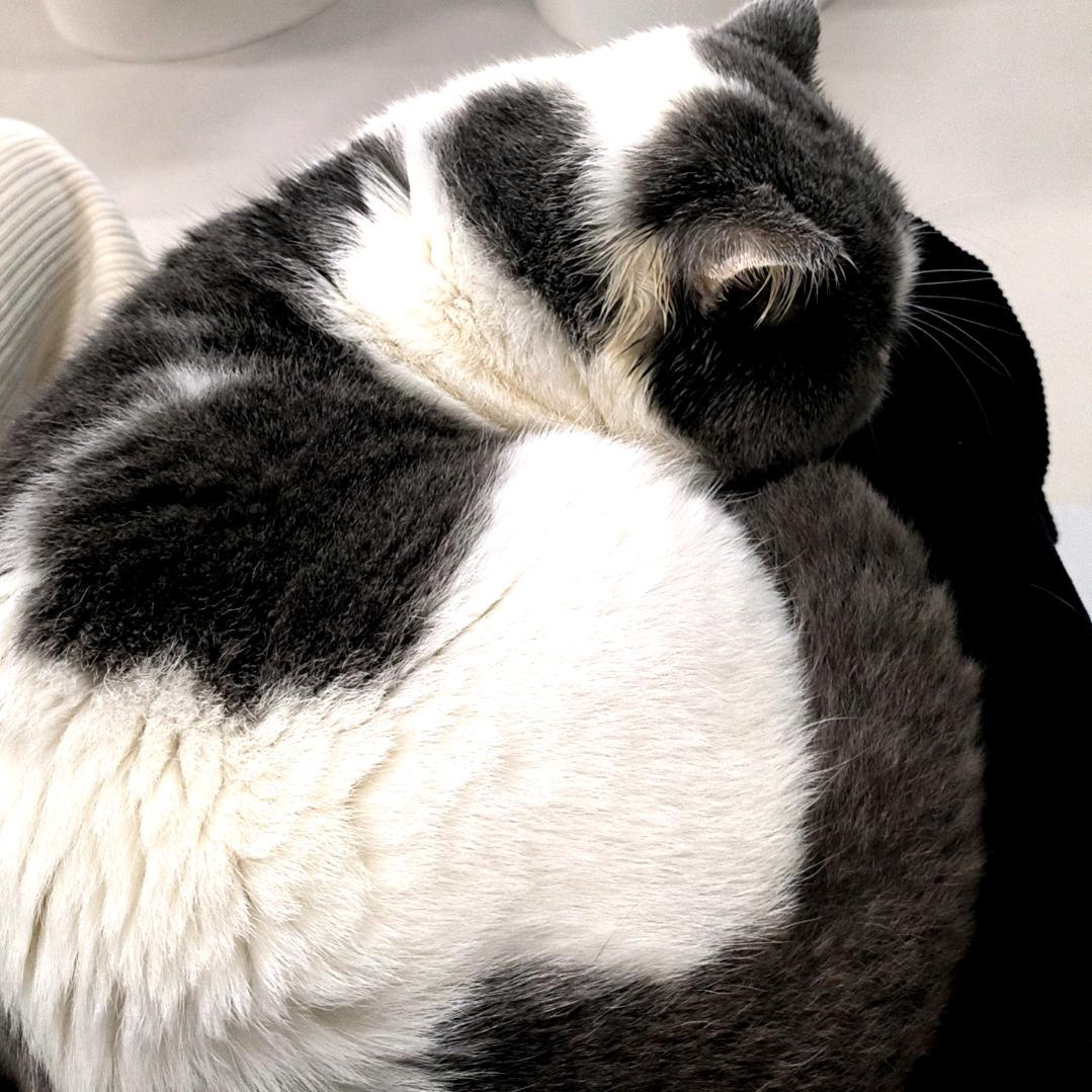 美美 美甲美睫（致富记录）