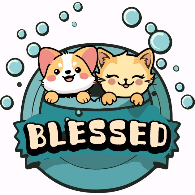 瑞祥宠物店·缅因猫舍