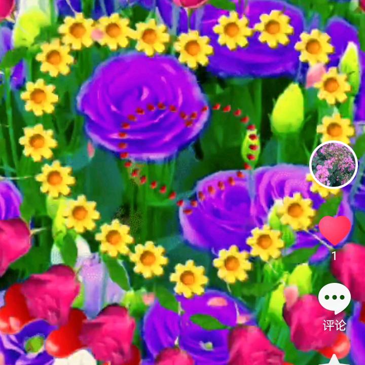 意林