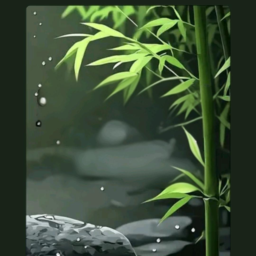 张清