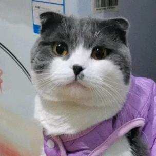 爱我富贵呀😺😻😽