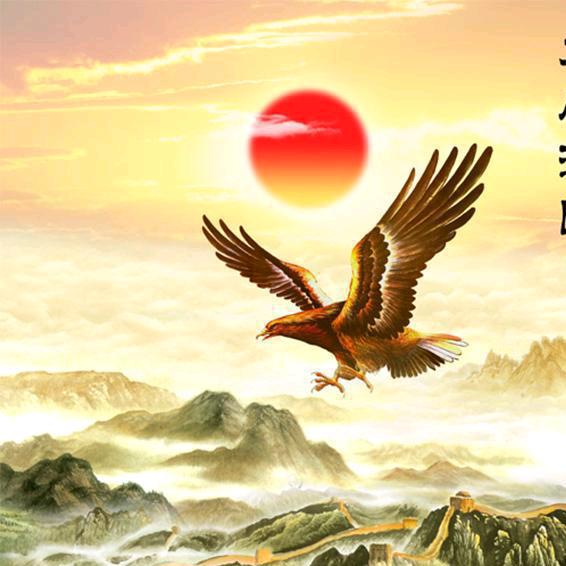 柳暗花明Mambaout24.kobe8