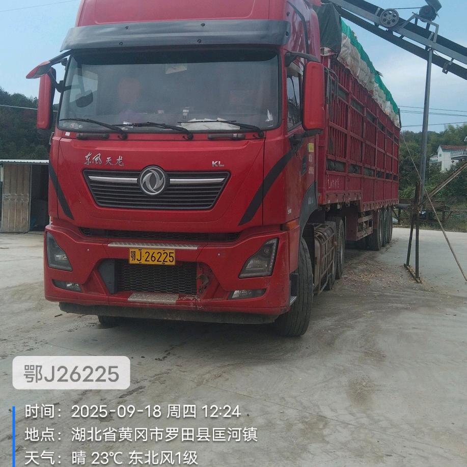 小毛驴