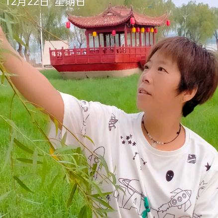 芮城刘姐