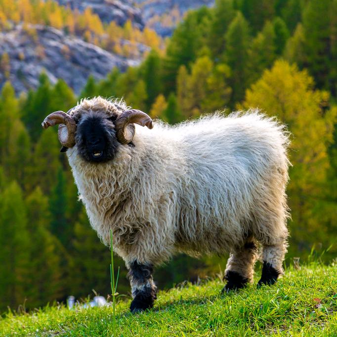 你应该很快乐888