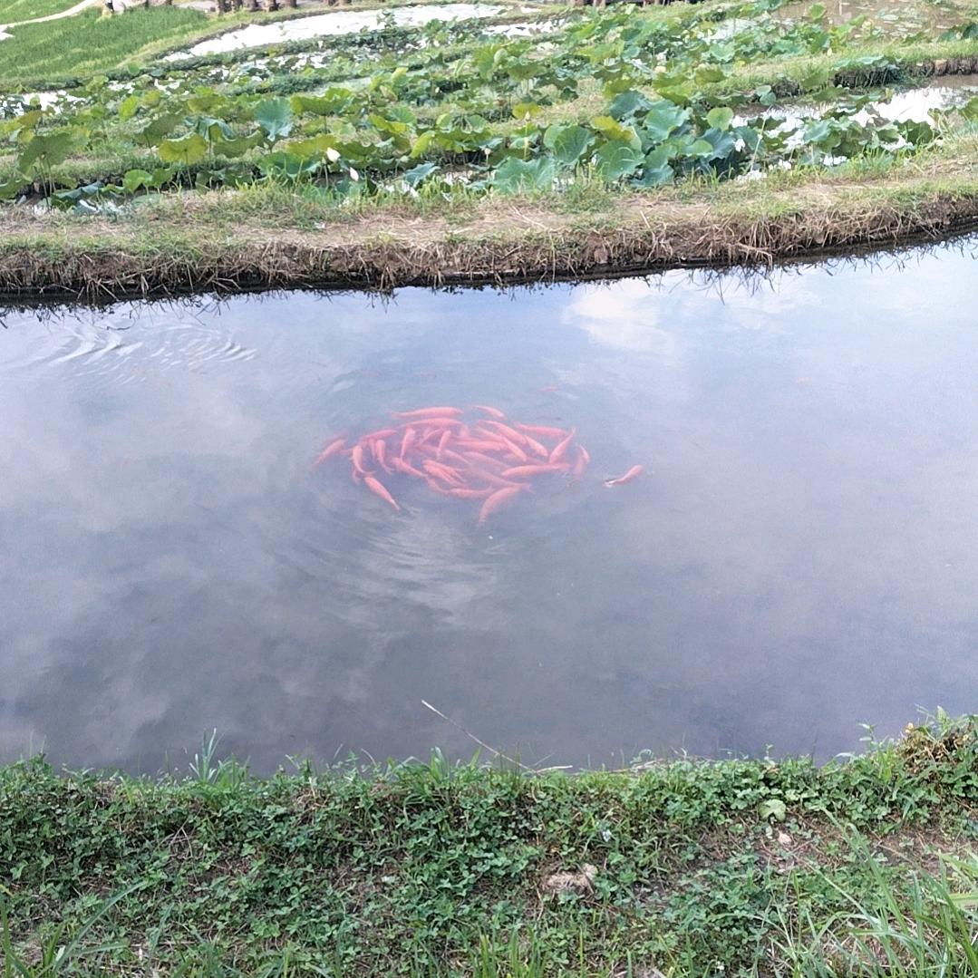 蓝天白云🌈☁️☁️🌈