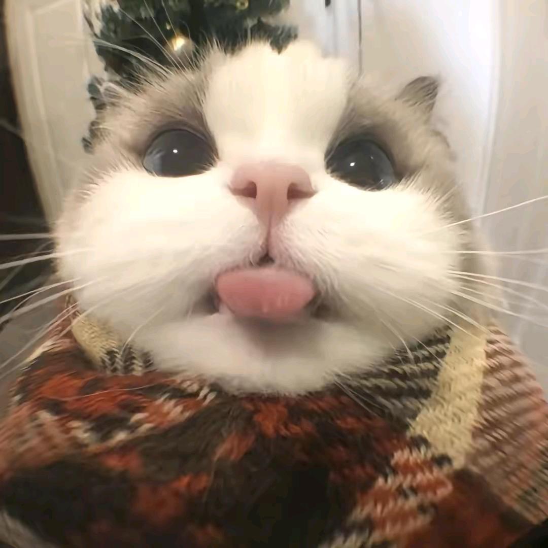 云雾敛