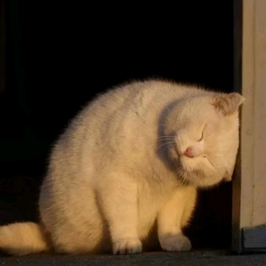 ….-