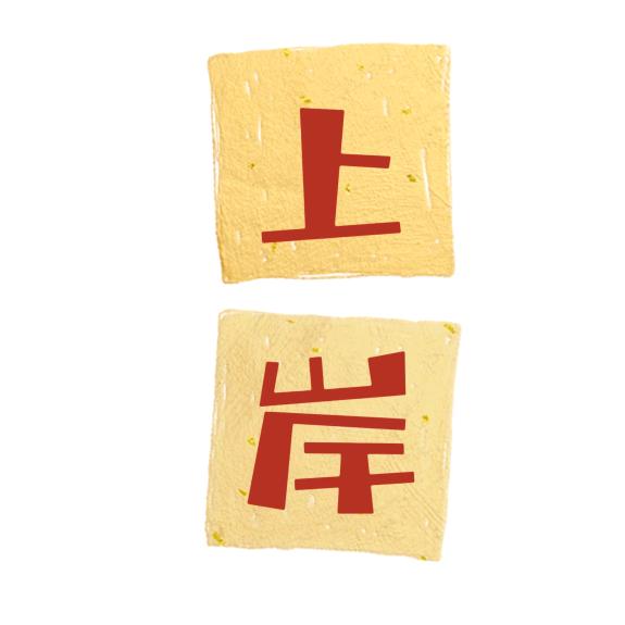 专升本阿珊姐