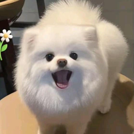 YaotheMaster 'sslave