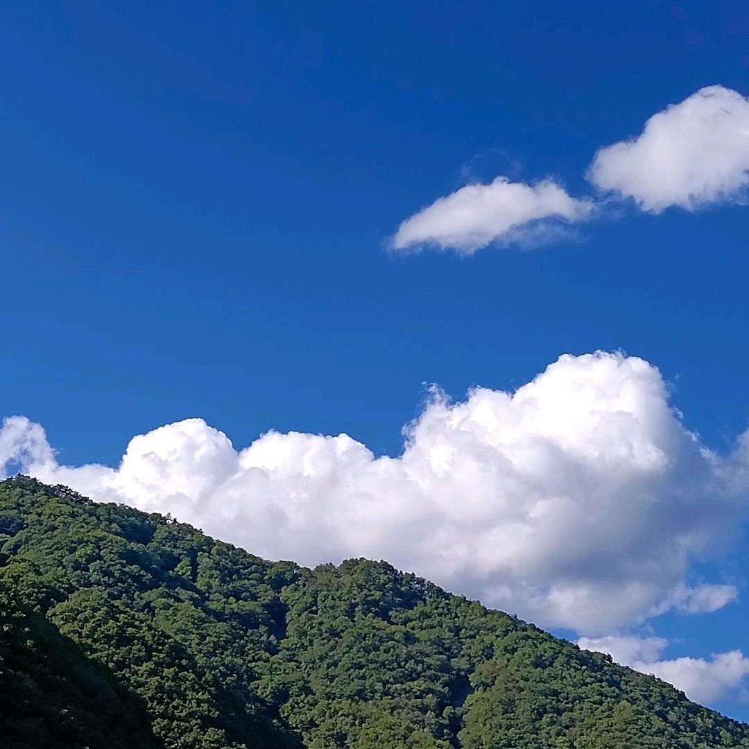 每日没得闲