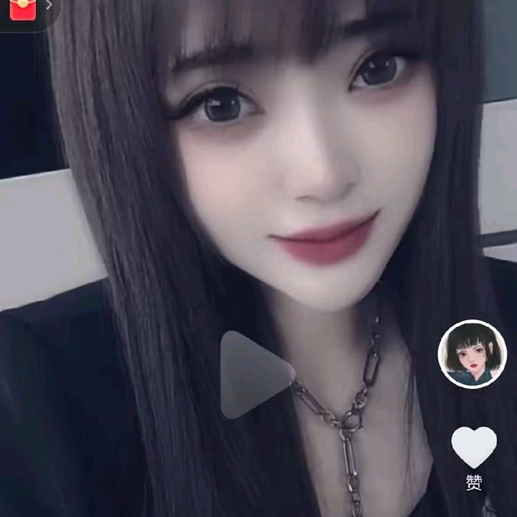 石头家的小比熊