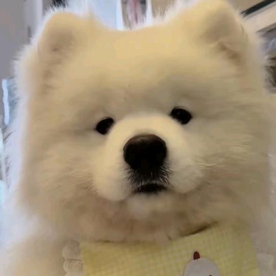 洗完澡帅过吴彦祖