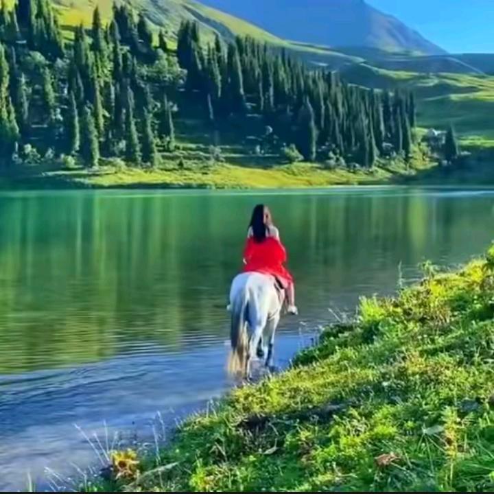 山东临沂幸福一家