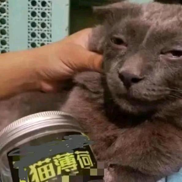 额