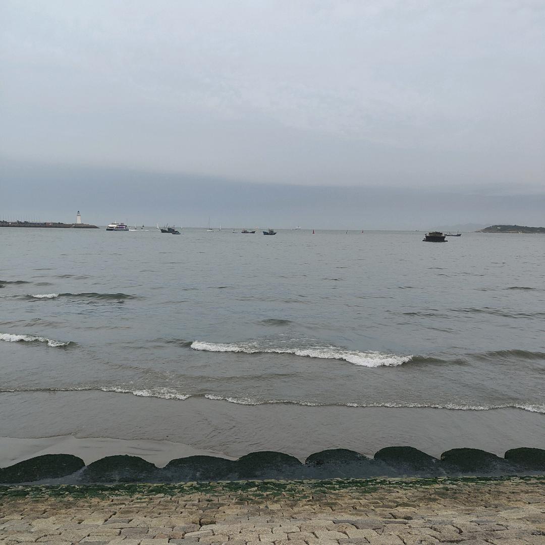 俊秀才华